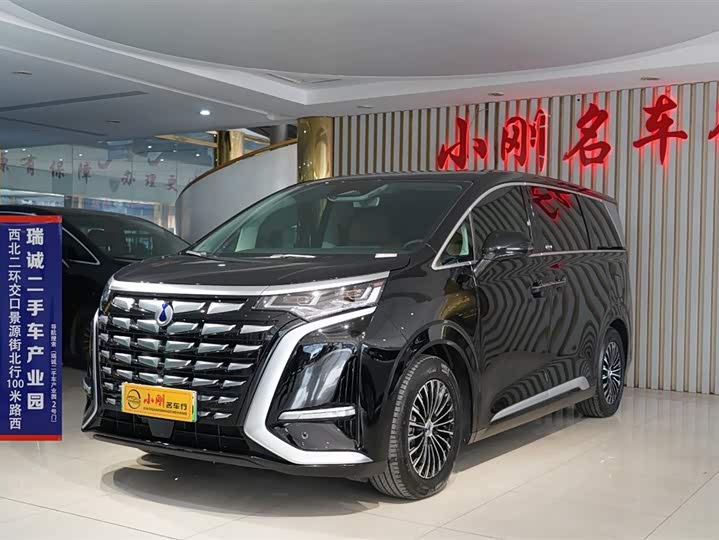 Фото 1 - Denza D9