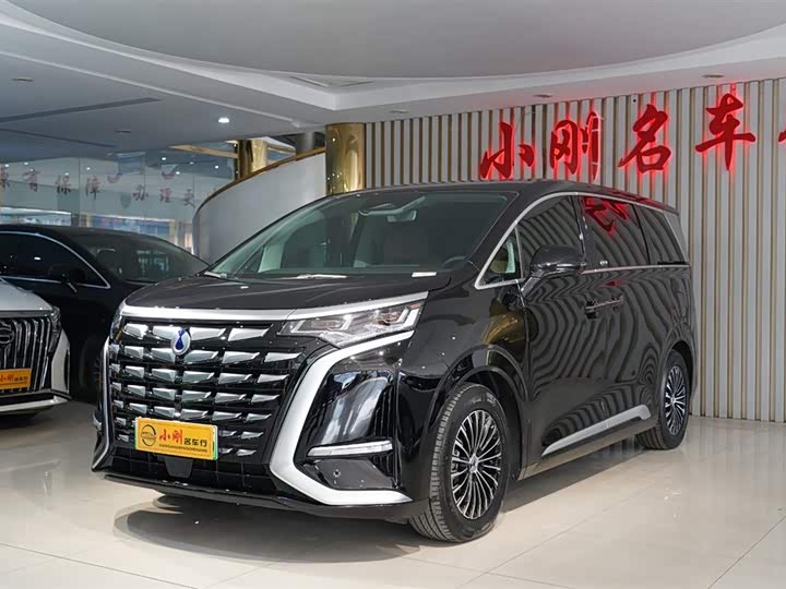 Фото 2 - Denza D9