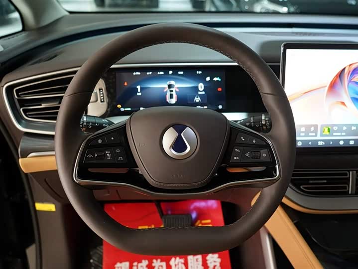 Фото 8 - Denza D9