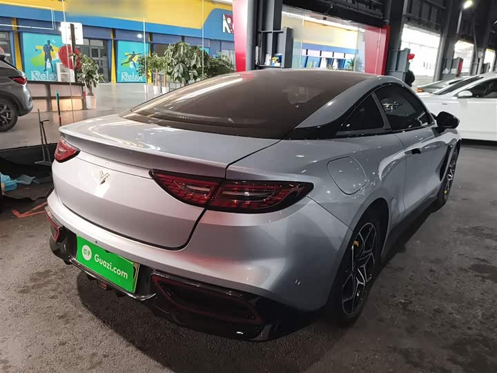 Фото 7 - Hozon GT