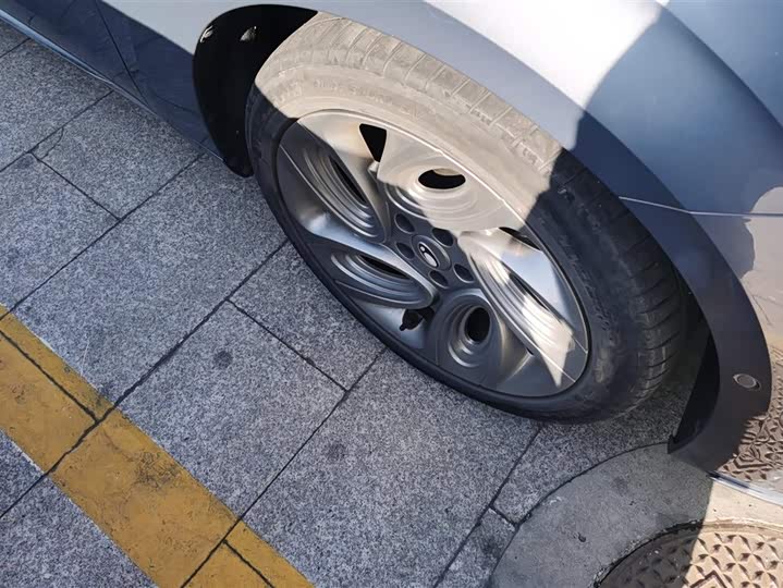 Фото 6 - Ora Lightning Cat (07)