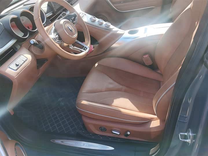 Фото 9 - Ora Lightning Cat (07)