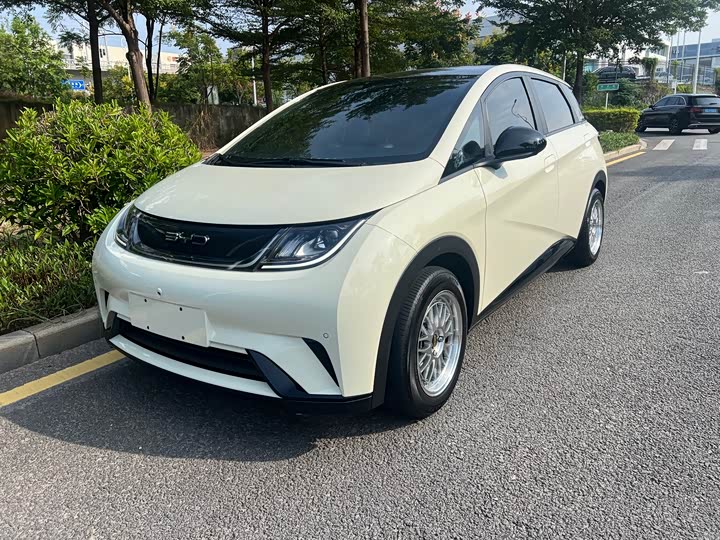 Фото 1 - BYD Dolphin