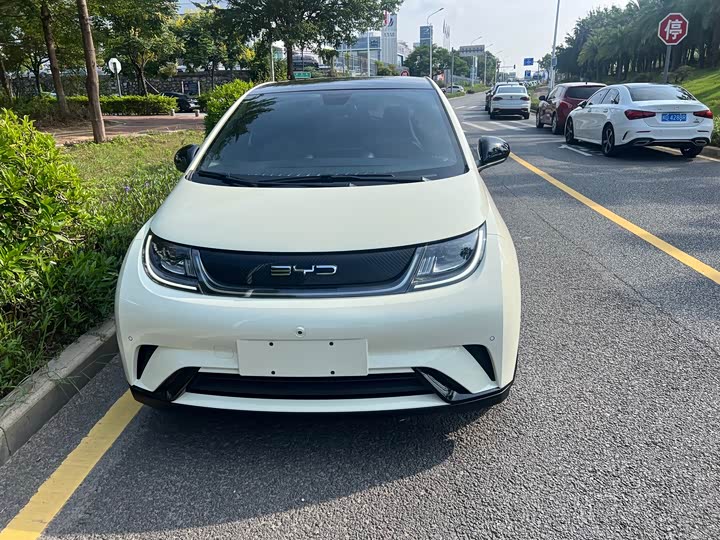 Фото 2 - BYD Dolphin