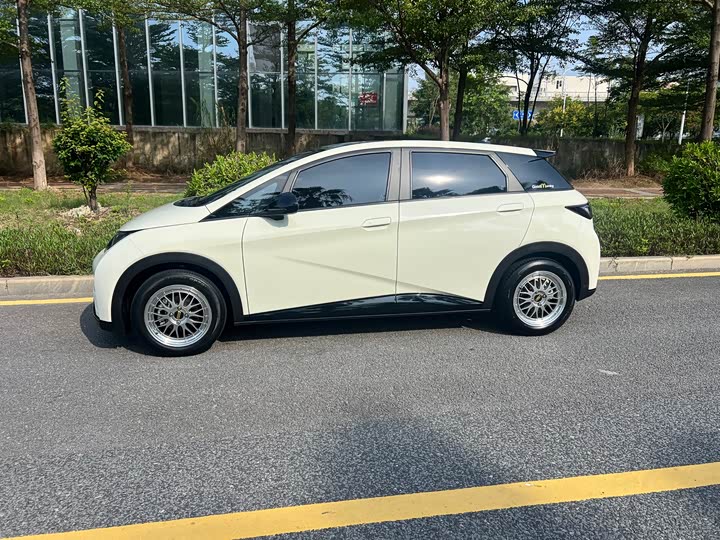 Фото 5 - BYD Dolphin