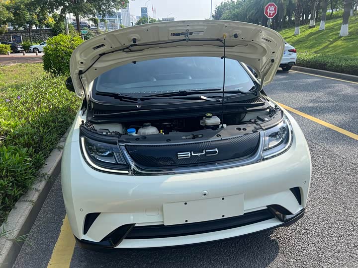 Фото 6 - BYD Dolphin
