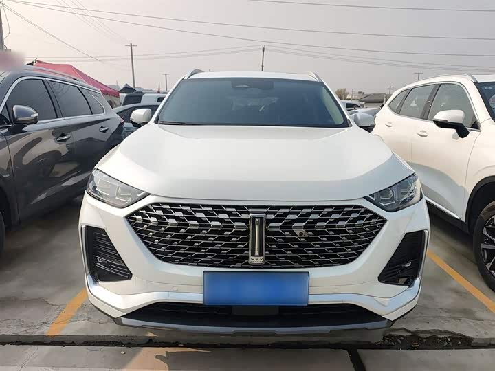 Фото 3 - Wey Latte DHT