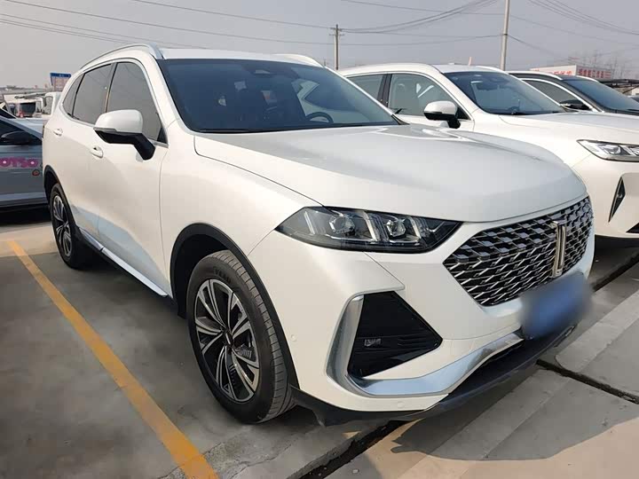 Фото 4 - Wey Latte DHT