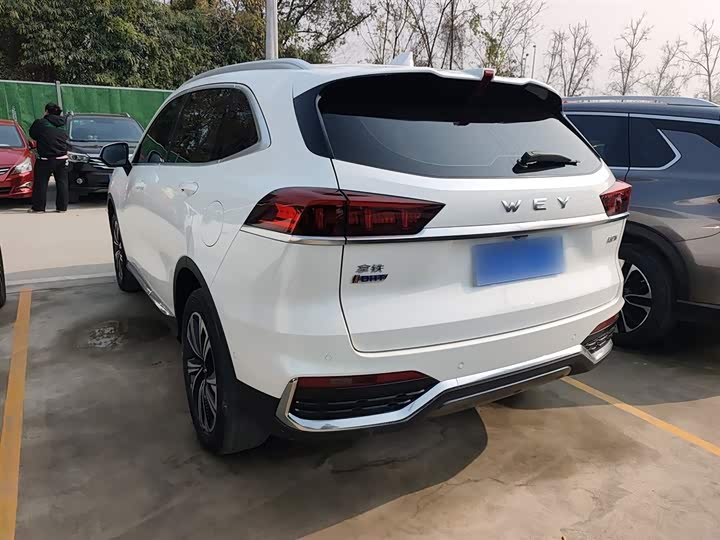 Фото 5 - Wey Latte DHT