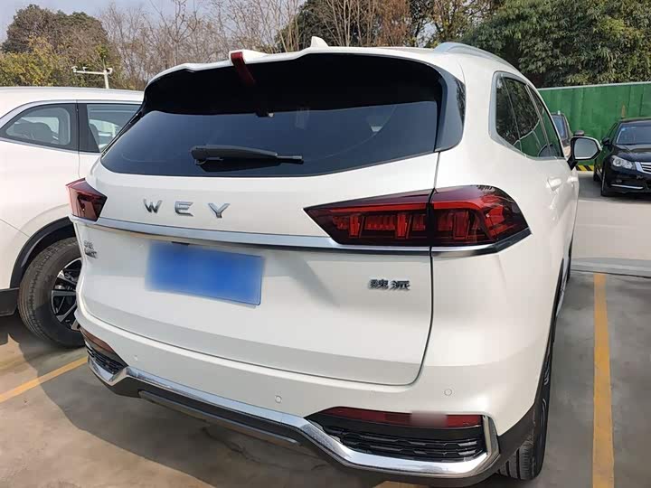 Фото 6 - Wey Latte DHT