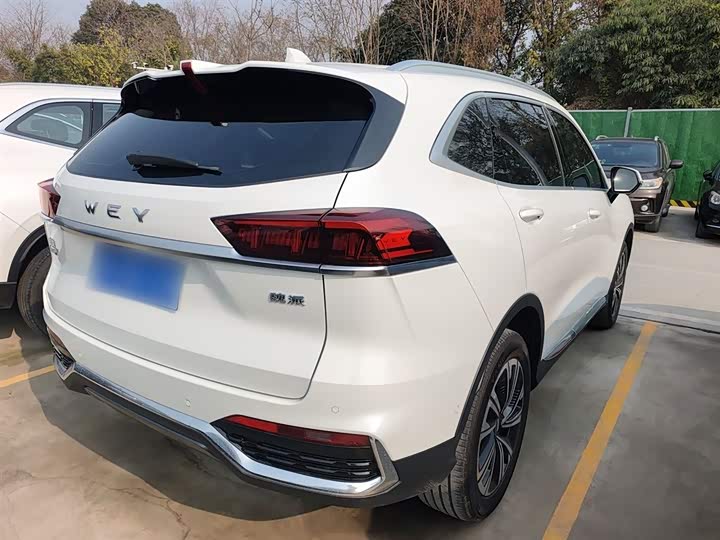 Фото 7 - Wey Latte DHT