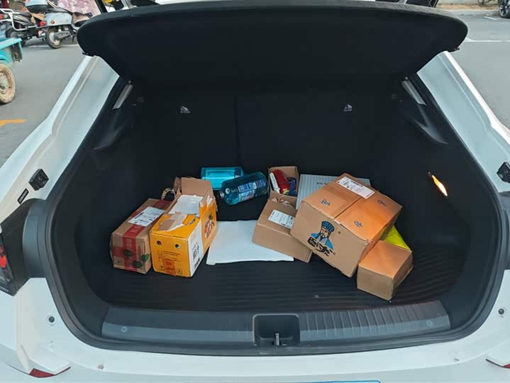 Фото 4 - Volkswagen Lamando L