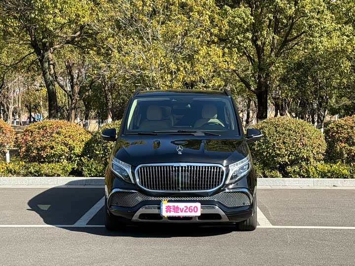 Фото 1 - Mercedes-Benz V-Class