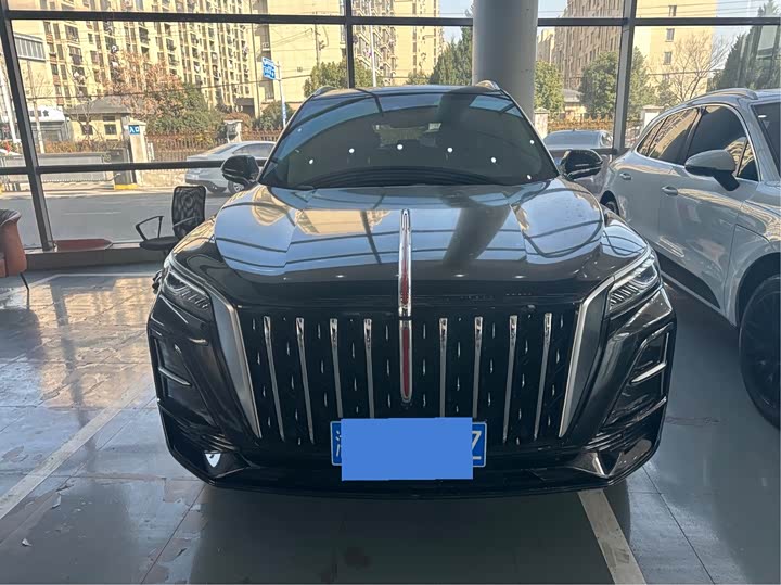 Фото 2 - Hongqi HS5