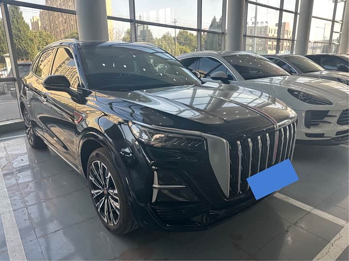 Фото 3 - Hongqi HS5