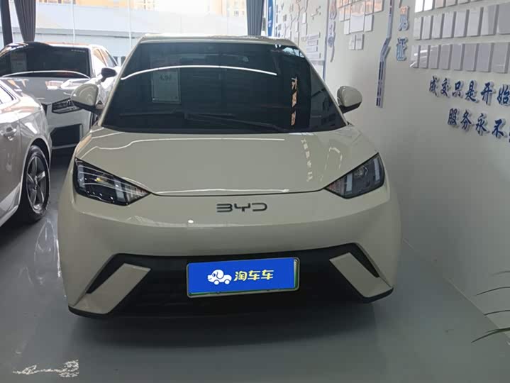 Фото 2 - BYD Seagull