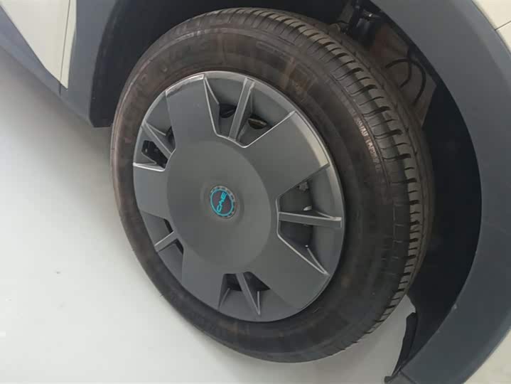 Фото 6 - BYD Seagull