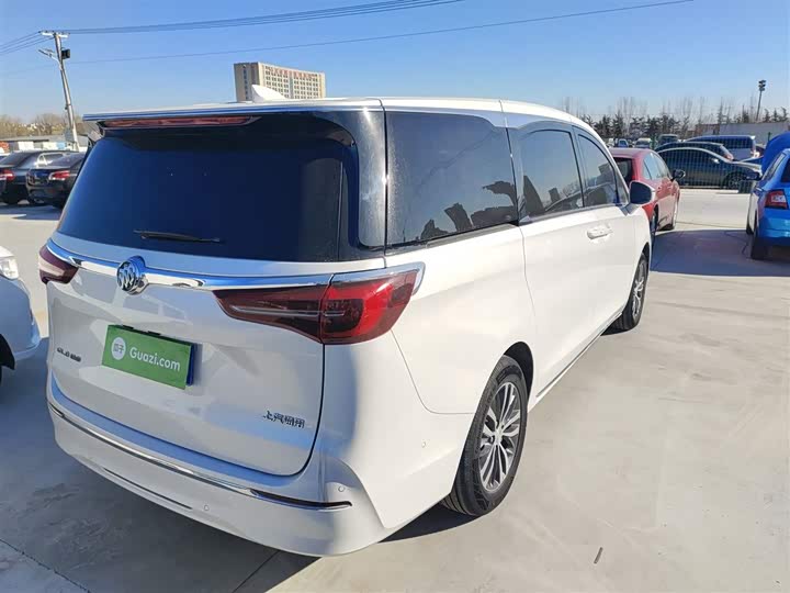 Фото 7 - Buick GL8 ES