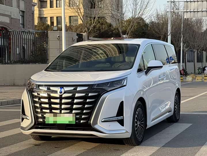 Фото 1 - Denza D9