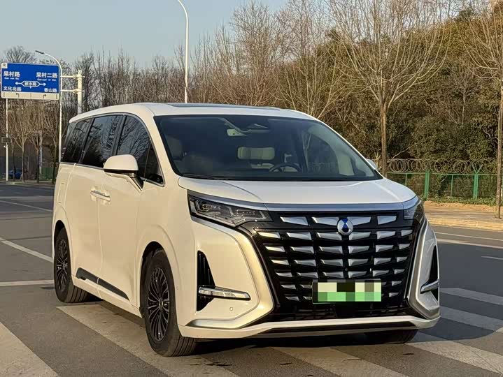 Фото 2 - Denza D9