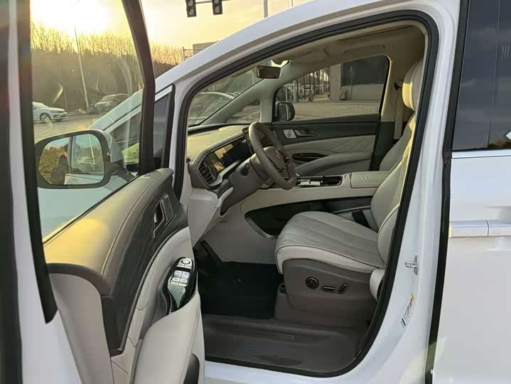 Фото 6 - Denza D9