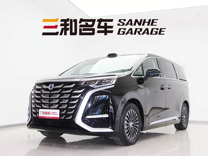 Фото 1 - Denza D9