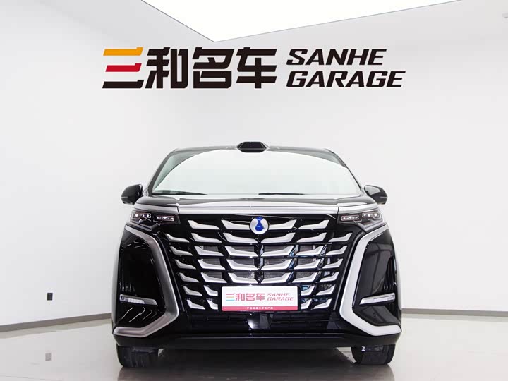 Фото 2 - Denza D9