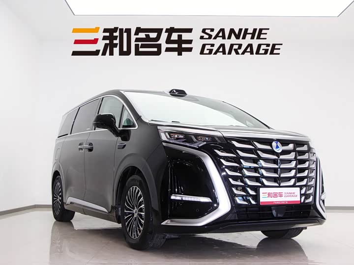 Фото 3 - Denza D9