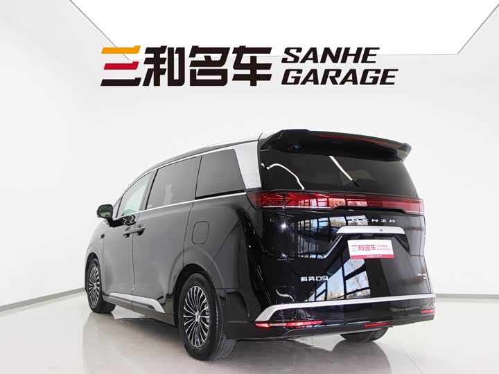 Фото 7 - Denza D9