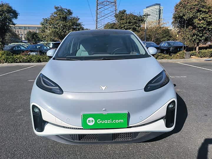 Фото 3 - BAIC Arcfox Kaola S