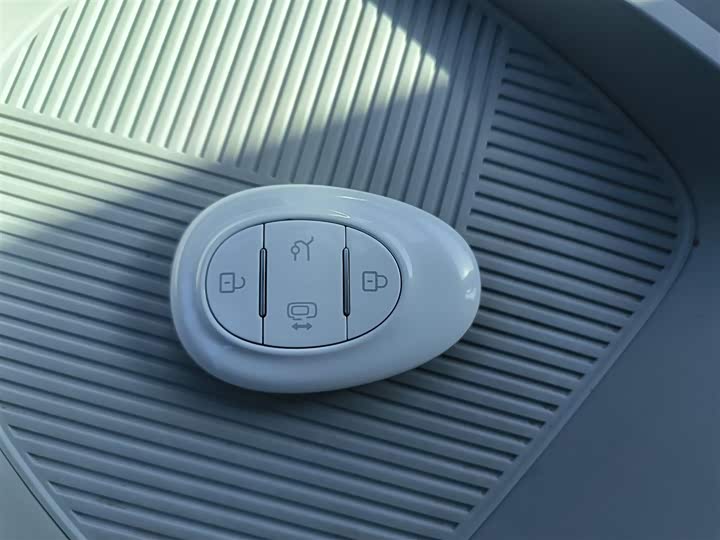 Фото 9 - BAIC Arcfox Kaola S