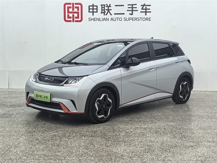 Фото 1 - BYD Dolphin