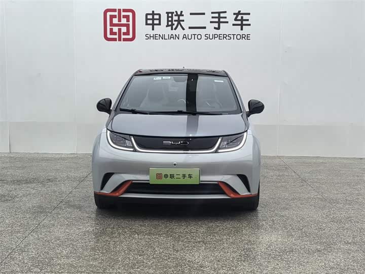 Фото 2 - BYD Dolphin