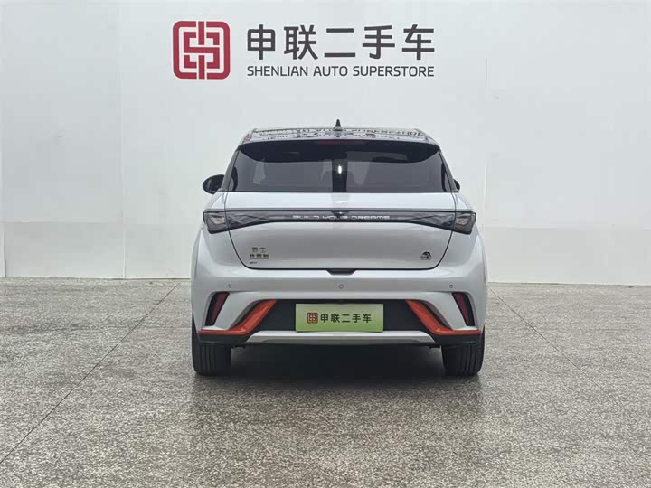 Фото 3 - BYD Dolphin