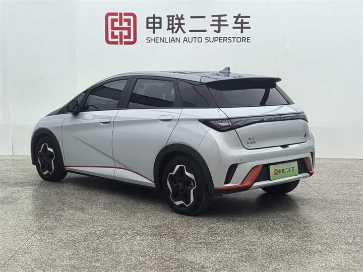 Фото 4 - BYD Dolphin