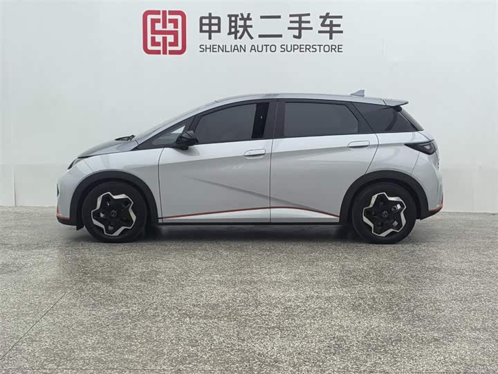 Фото 5 - BYD Dolphin