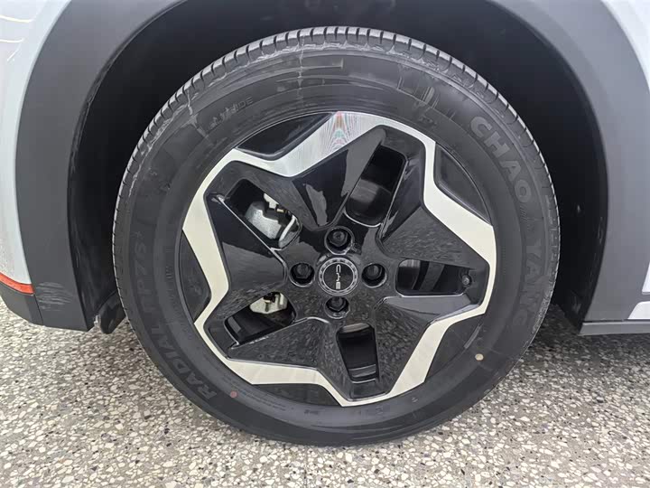 Фото 6 - BYD Dolphin