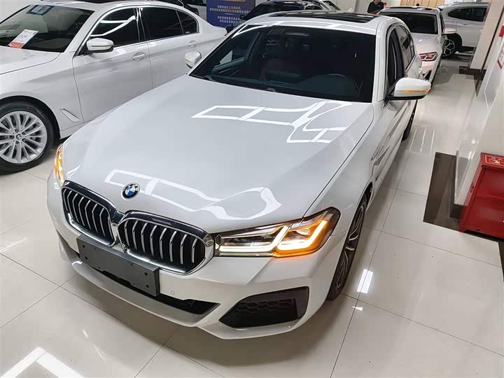 Фото 1 - BMW 5 Series Hybrid