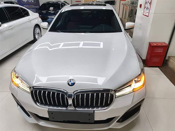 Фото 3 - BMW 5 Series Hybrid