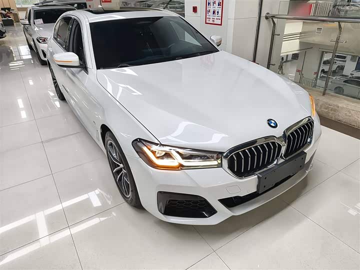 Фото 4 - BMW 5 Series Hybrid