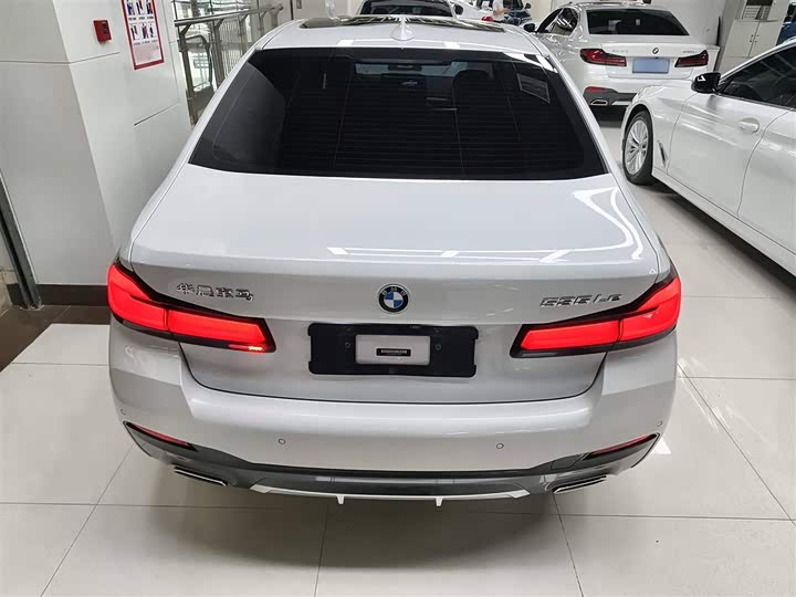 Фото 6 - BMW 5 Series Hybrid