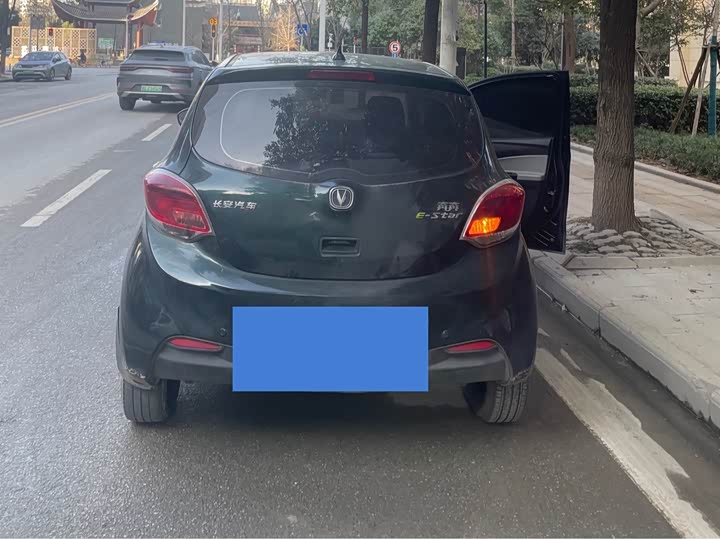 Фото 5 - Changan BenBen E-Star