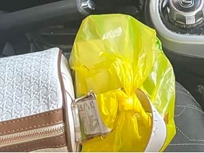 Фото 9 - Changan BenBen E-Star