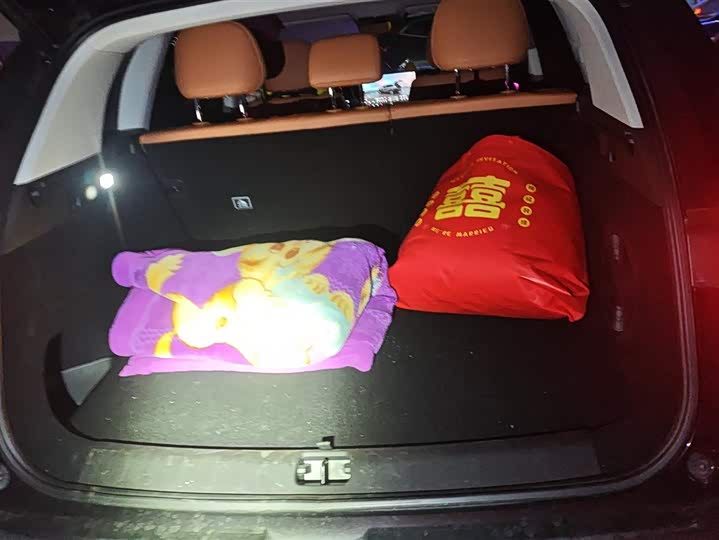 Фото 4 - Leapmotor C10