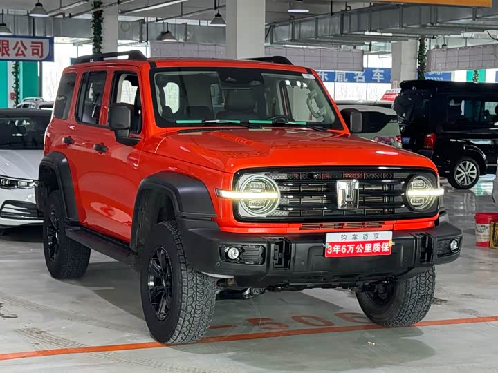 Фото 3 - Tank 300