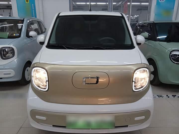 Фото 3 - Bestune Pony