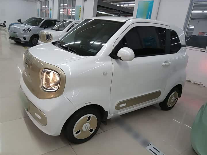 Фото 5 - Bestune Pony