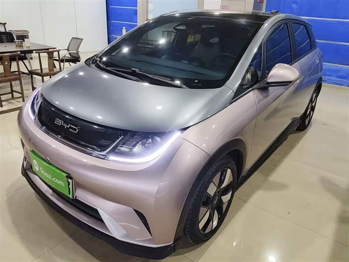 Фото 2 - BYD Dolphin