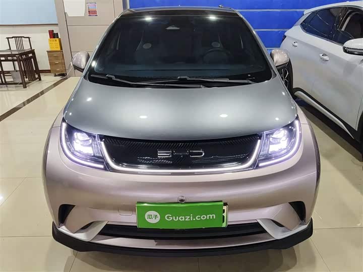 Фото 3 - BYD Dolphin