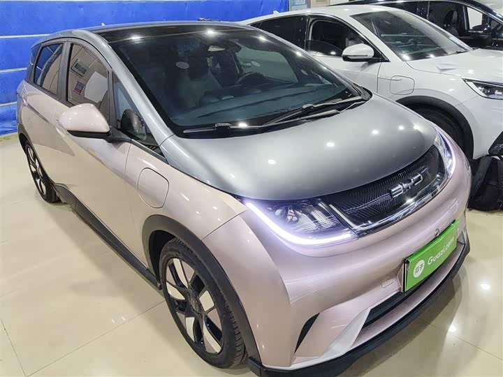 Фото 4 - BYD Dolphin